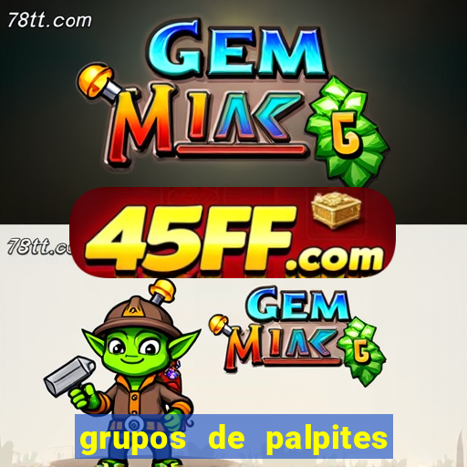 grupos de palpites de futebol whatsapp